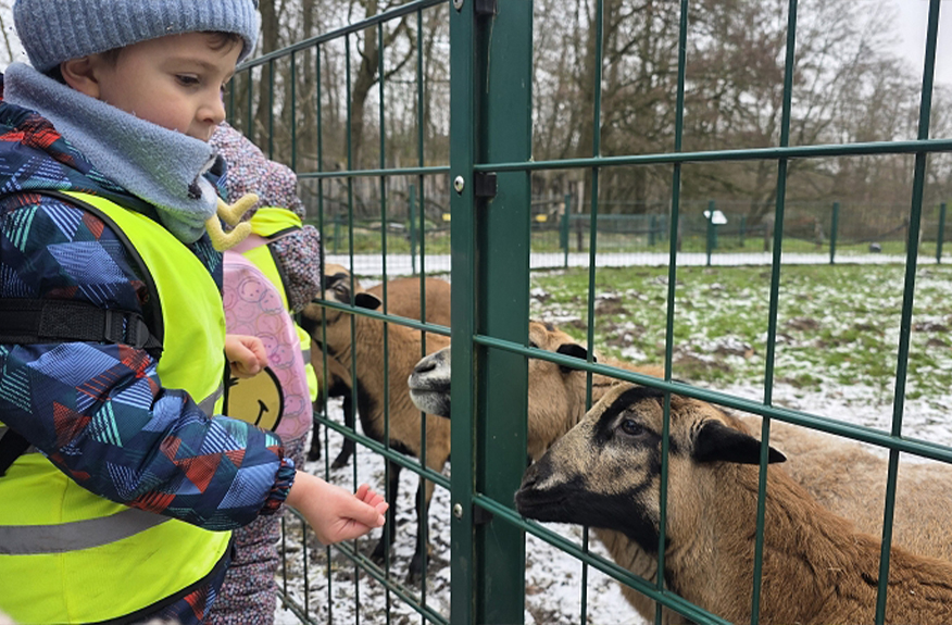 website waldtag kita hilde coppi waldis bau 4