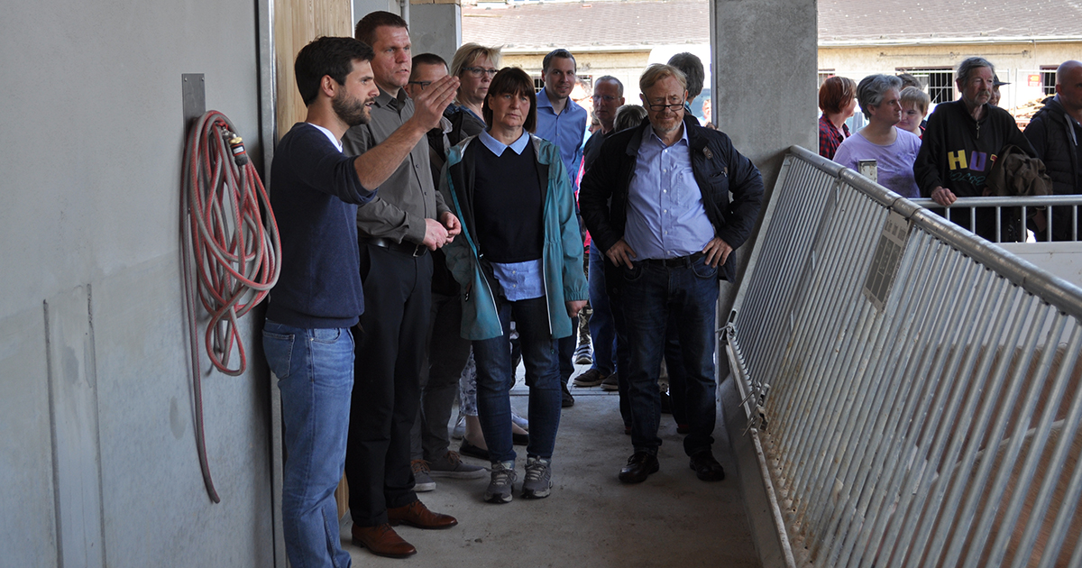 Gronenfelder Werkstaetten Schweinestall 4