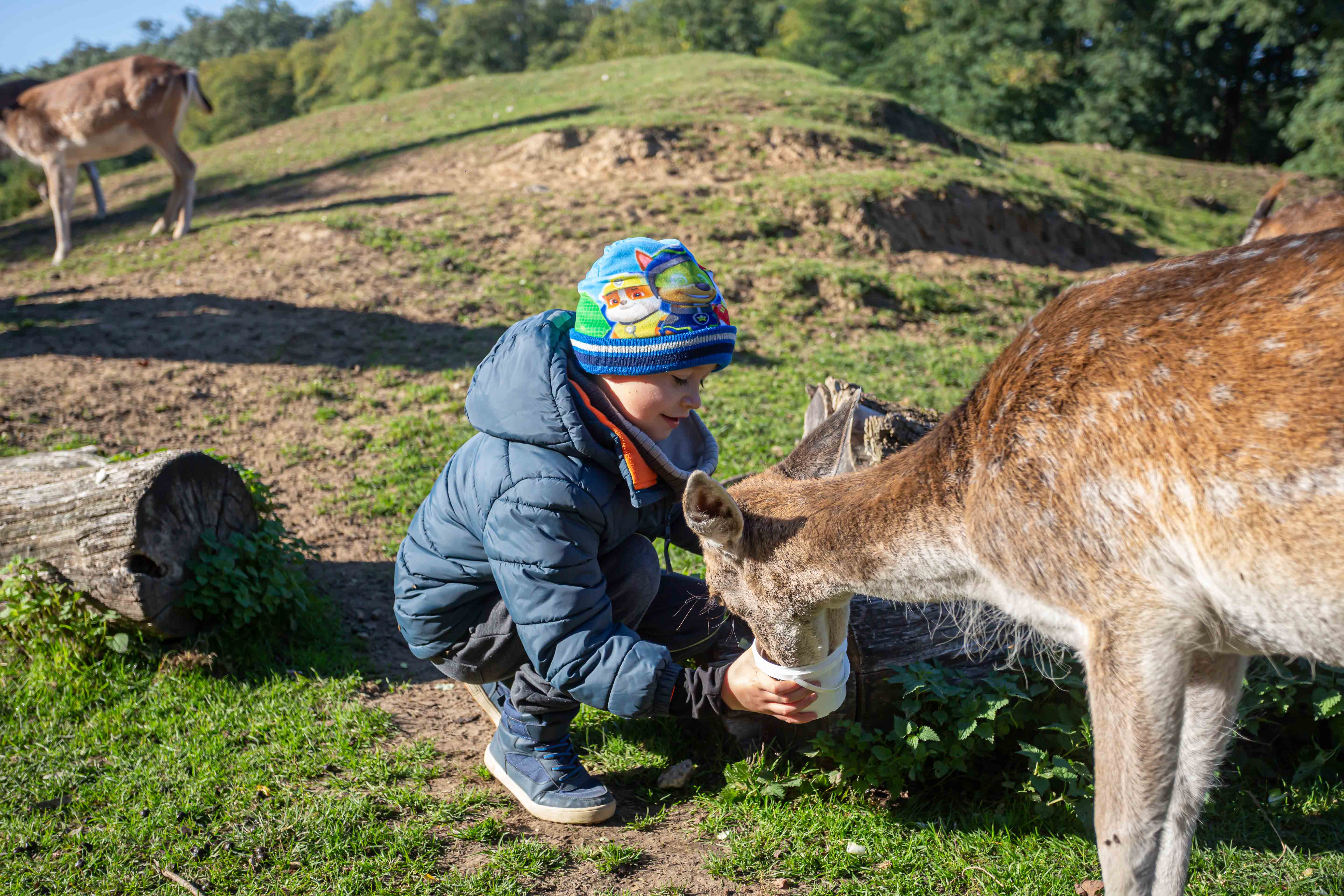 klein seelischegesundheit 7