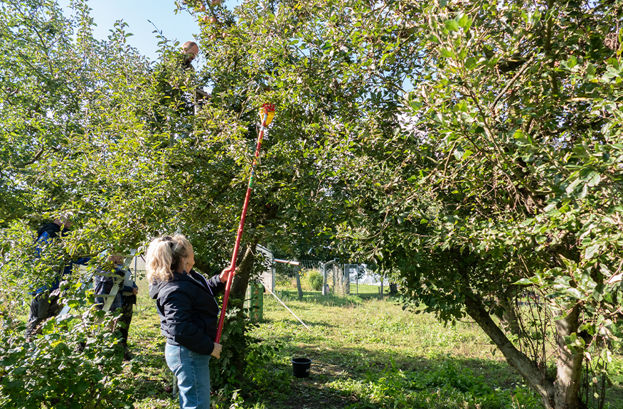 website schichtwechsel 3